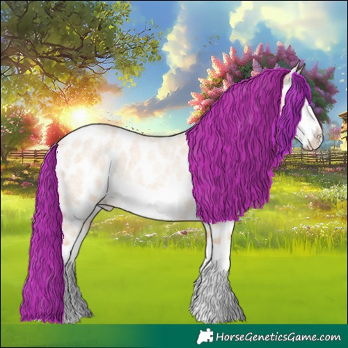 Horse Color:Silver Amber Champagne Roan Dun Splash Frame Appaloosa 