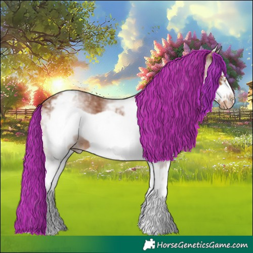 Horse Color:White Spotted Chestnut Frame Appaloosa 
