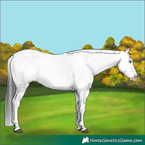 Horse Color:Black Frame