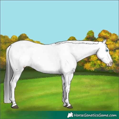 Horse Color:Black Frame