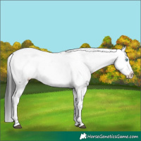 Horse Color:Black Frame