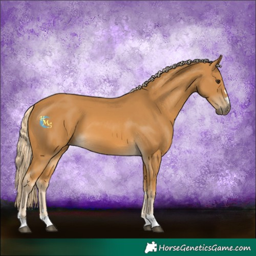 Horse Color:Palomino 