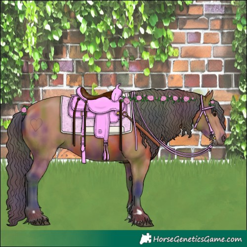 Horse Color:Nacre Bay Rabicano 