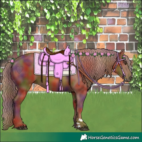 Horse Color:Nacre Chestnut Rabicano 