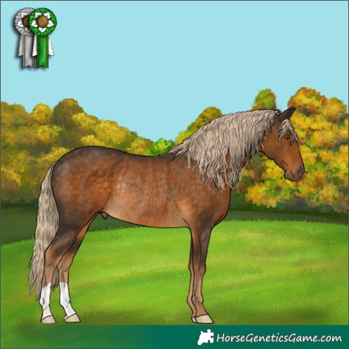 Horse Color:Chocolate Palomino Rabicano