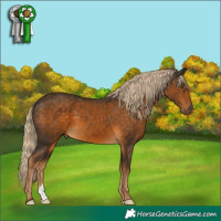 Horse Color:Chocolate Palomino