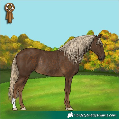 Horse Color:Chocolate Palomino Rabicano 