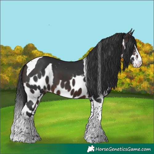 Horse Color:Brown Splash Tobiano Skewed LP Spotted 