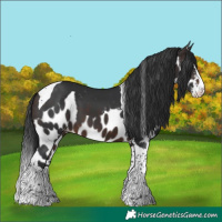 Horse Color:Brown Splash Tobiano Skewed LP Spotted