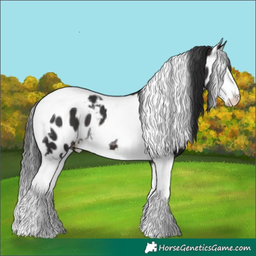 Horse Color:Brown Splash Tobiano Skewed LP Spotted 