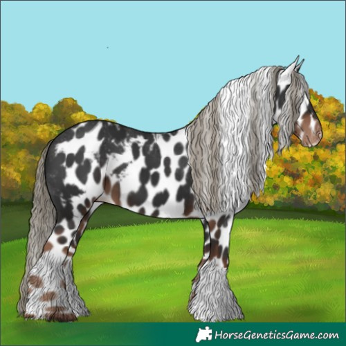 Horse Color:Liver Chestnut Skewed LP Spotted 