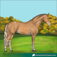 Horse Color:Palomino Varnish 