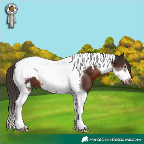 Horse Color:Liver Chestnut Tobiano Frame 