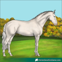 Horse Color:Cremello Rabicano 