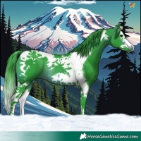 Horse Color:Watercolor Brown Splash Tobiano Frame Rabicano