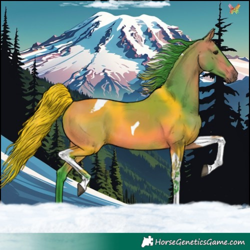 Horse Color:Watercolor Bay Tobiano 