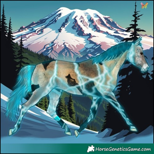 Horse Color:Void Thunderstruck Buckskin Onyx Tobiano 