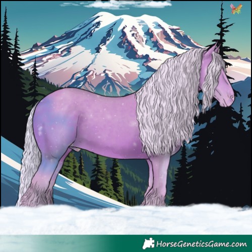 Horse Color:Watercolor Silver Brown Skewed Appaloosa 