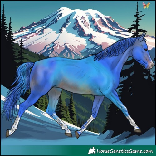 Horse Color:Watercolor White Spotted Brown Tobiano 