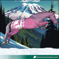 Horse Color:Watercolor Silver Brown Dun Tobiano Blanket