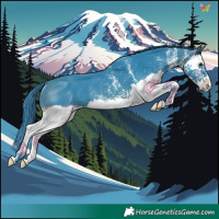 Horse Color:Watercolor White Spotted Brown Splash Rabicano 
