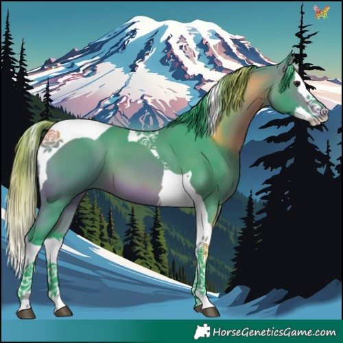 Horse Color:Watercolor Bay Splash Tobiano 