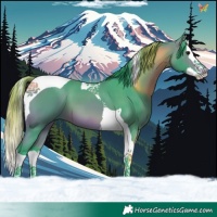 Horse Color:Watercolor Bay Splash Tobiano