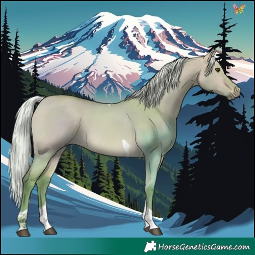 Horse Color:Watercolor Silver Buckskin Dun Tobiano 