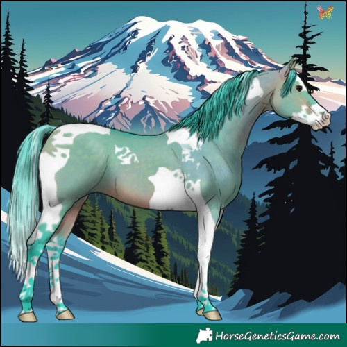 Horse Color:Watercolor Bay Dun Splash Tobiano 