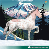 Horse Color:Watercolor Silver Amber Cream Champagne Ice Dun Skewed Appaloosa 