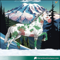 Horse Color:Watercolor Buckskin Harlequin Merle Skewed Appaloosa