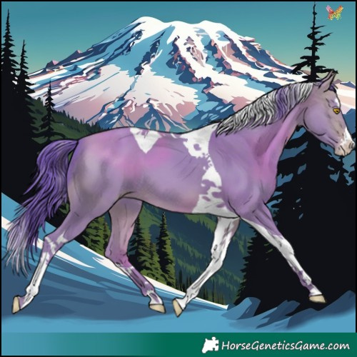 Horse Color:Watercolor Sable Champagne Splash Tobiano 