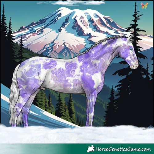 Horse Color:Watercolor Brown Ice Harlequin Merle Skewed Appaloosa 