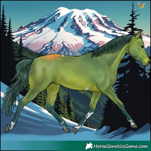 Horse Color:Watercolor Bay Tobiano