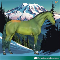 Horse Color:Watercolor Bay Tobiano