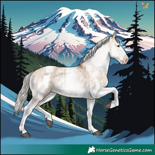 Horse Color:White Spotted Silver Brown Ice Dun Tobiano Rabicano 