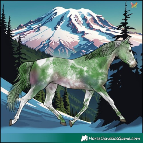 Horse Color:Watercolor White Spotted Brown Splash Tobiano 