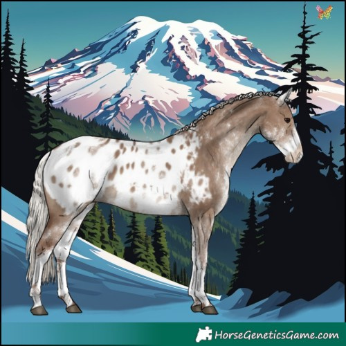 Horse Color:White Spotted Silver Grullo Tobiano Blanket
