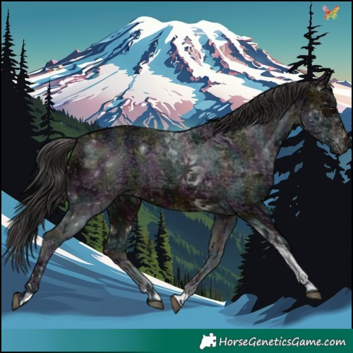 Horse Color:Midnight Brown Ice Tobiano