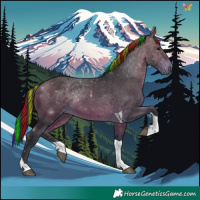 Horse Color:Painted Bay Tobiano