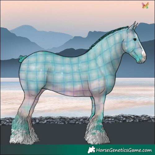 Horse Color:Watercolor Plaid  Brown Dun 