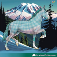 Horse Color:Watercolor Plaid Brown Dun