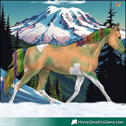 Horse Color:Painted Watercolor Brown Tobiano