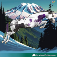 Horse Color:Painted Liver Chestnut Splash Tobiano 
