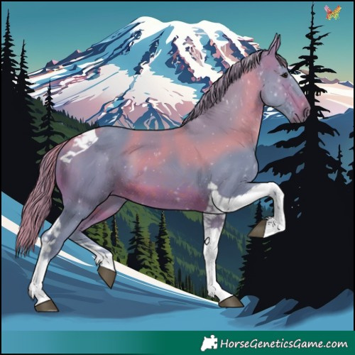 Horse Color:Watercolor Brown Tobiano 