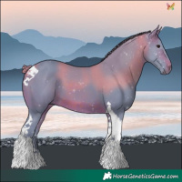 Horse Color:Watercolor Brown Tobiano