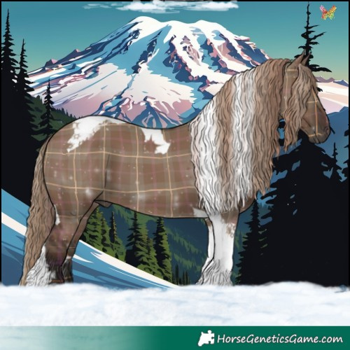 Horse Color:Plaid Liver Red Dun Tobiano