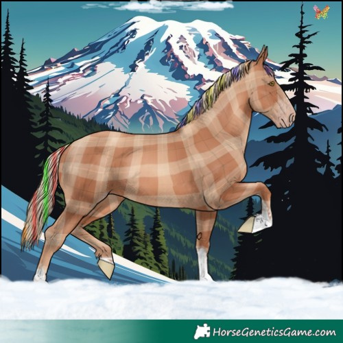 Horse Color:Painted Plaid Gold Champagne Tobiano