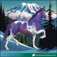Horse Color:Watercolor Brown Splash Tobiano