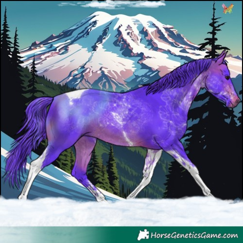 Horse Color:Watercolor Bay Tobiano 